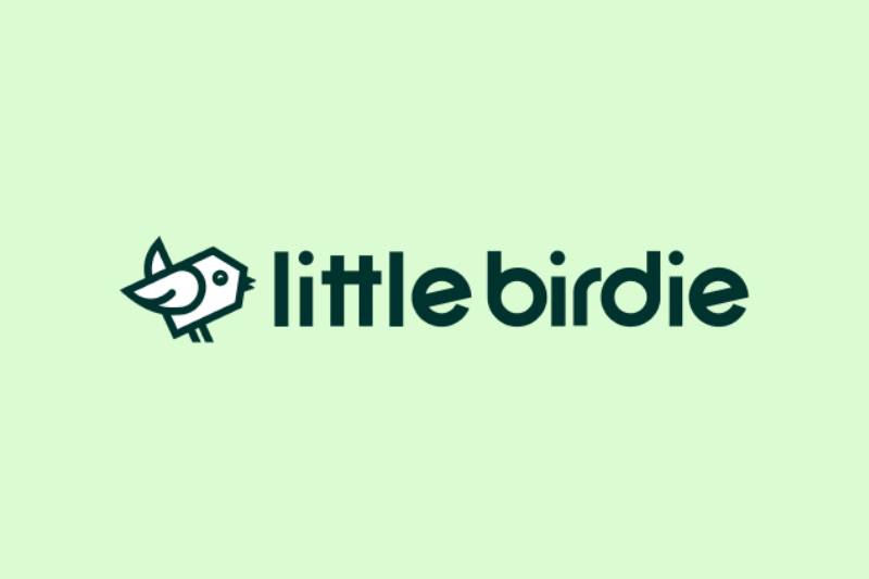 Little Birdie – Get Best Price